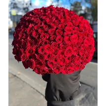 Prémium Vörös Rózsa 150 szál